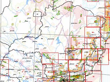 Figura 2: Mapeamento da Reserva da Biosfera da Mata Atlântica em Minas Gerais (RBMA, 2007). O Quadrilátero Ferrífero, segundo o mapeamento da RBMA, está inserido na Carta 33.