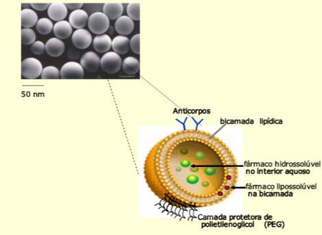 Lipossomos