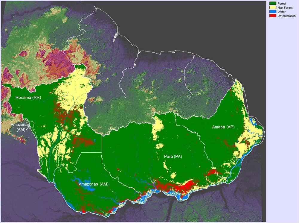 00 km² of forest was deforestation