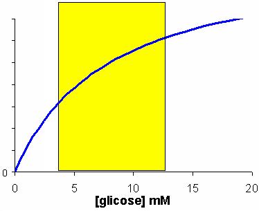 A entrada (GLUT2) e a fosforilação da no fígado (cínase da /hexocínase IV) é regulada diretamente pela concentração de na veia porta e nos hepatócitos.