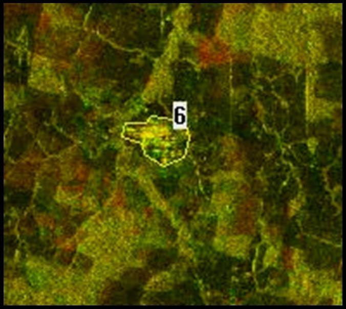 Nessa figura nota-se que a imagem de 2007 apresenta uma supressão da vegetação na imagem Alos, devido ao não retroespalhamento do sinal.