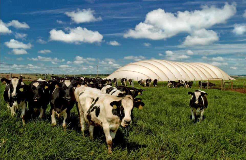 PLATAFORMA ITAIPU DE ENERGIAS RENOVÁVEIS OBJETIVOS: Demonstrar a viabilidade técnica, econômica e ambiental das energias renováveis, em especial o aproveitamento da biomassa residual das atividades