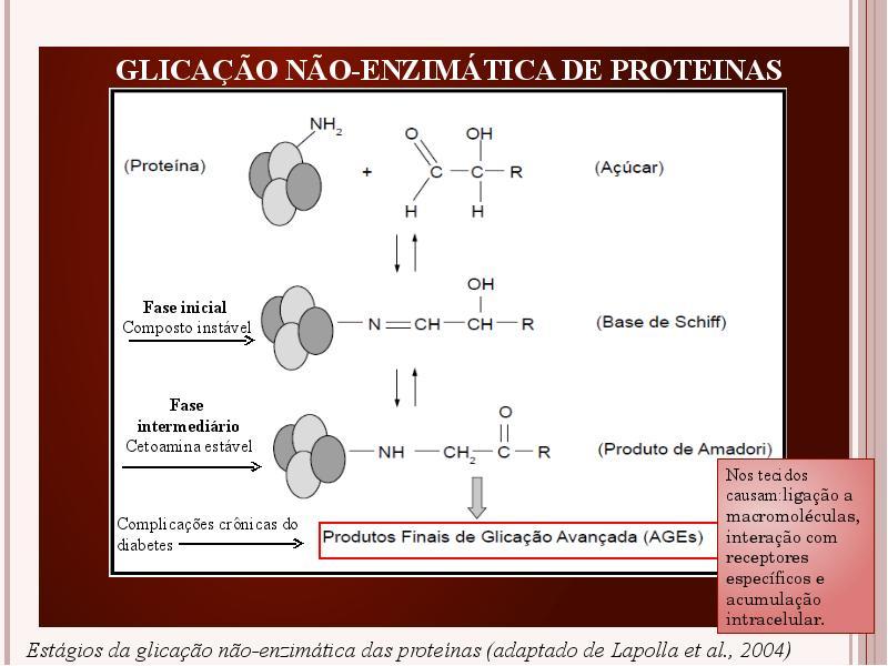 Proteínas glicosiladas 1 1.