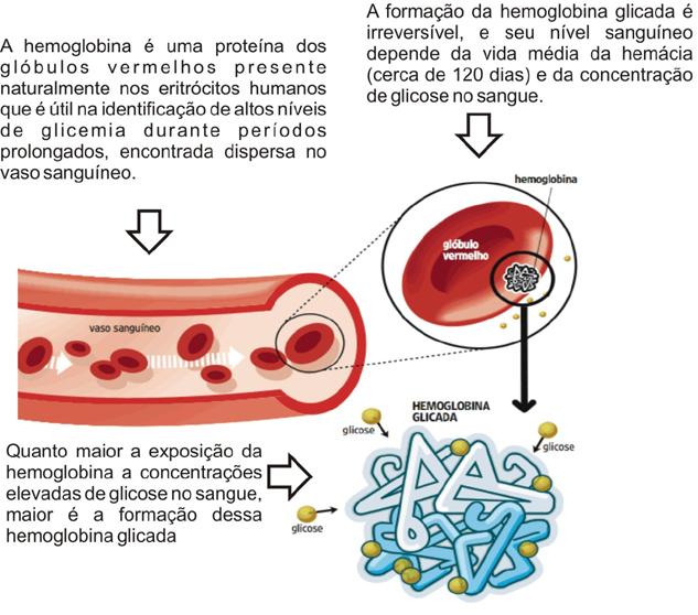 4. Hemoglobina e frutosamina Quando a proteína é a hemoglobina (Hb) obtemos a hemoglobina glicada, da qual medimos a