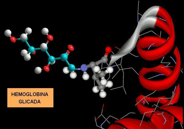 Fonte: iqtc. fcien.edu.vy/ cursos/viz/proyectostri 05/grupo 4/ índex. html 5. Proteínas glicadas O termo hemoglobina glicosilada tem sido erroneamente utilizado como sinônimo de hemoglobina glicada.