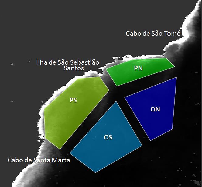 De acordo com as características geomorfológicas e processos físicos que ocorrem na área de estudo, a Bacia de Santos foi dividida em quatro regiões poligonizadas (Figura 4): Figura 4: Divisião da