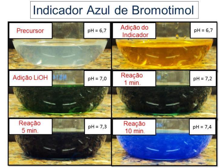 O acompanhamento da evolução do ph também foi realizado na presença de azul de bromotimol (BTB), um indicador de ph que em solução ácida é amarelo, em solução neutra é verde e em solução básica é