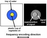 T1 e T2 p/ diferentes tecidos T 2 * T 2 leva em consideração a redução em magnetização transversal (M( y ) causada por interações entre spins apenas É uma característica inerente ao tecido