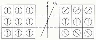 2DFT: Codificação na Fase G y é usado para codificar a informação espacial do eio y na fase dos spins Inicialmente: todos os spins estão em fase Liga-se G y : spins precessam com freqüências