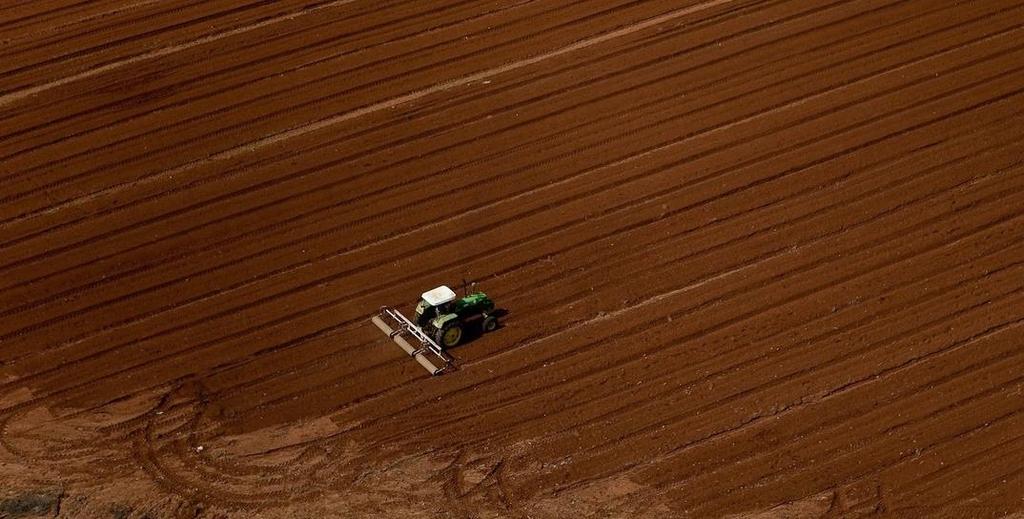 CARACTERÍSTICAS DO INVESTIMENTO Investimentos em terras rurais e na produção agropecuária possuem diversos pontos ao seu favor, que o tornam uma opção atraente: - Alta valorização da terra no período