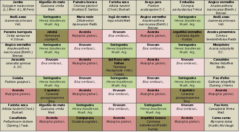 Em cada uma das 32 parcelas foram plantadas 28 espécies arbóreas nativas, seringueira, urucum e acerola num arranjo espacial que pode ser observado na figura 3 LEGENDA Pioneiras Não pioneiras Acerola