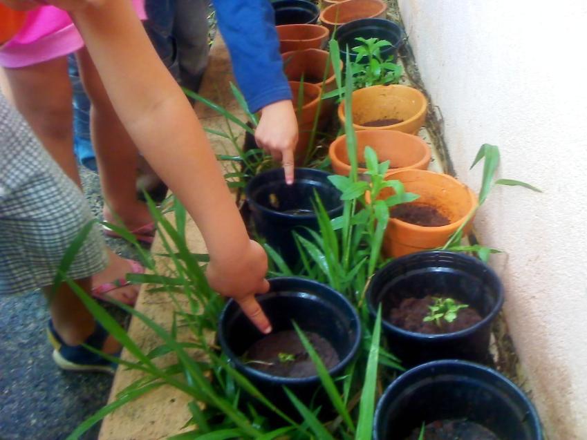 nascer (germinar) a semente precisava somente de terra, omitindo por falta de conhecimento, a necessidade do sol e da água, por isso, também pudemos comprovar tal hipótese, preparando o vaso com a