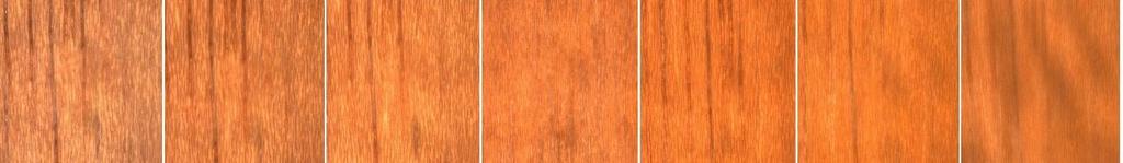 4. Superfície da madeira de tauari 