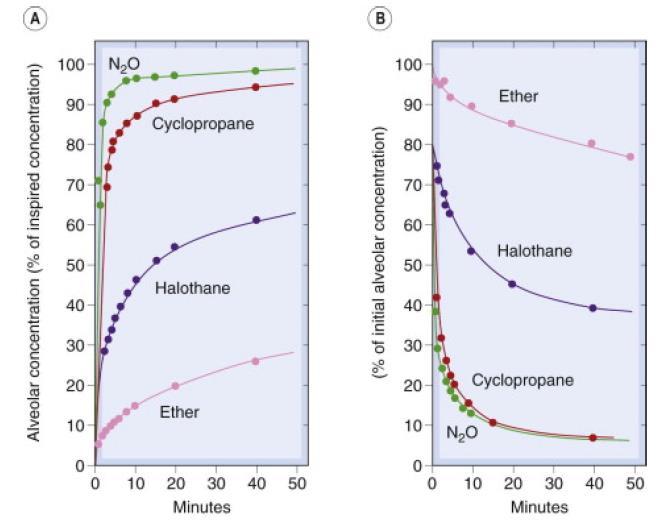 Para um anestésico com um coeficiente de partição sangue: gás baixo, a absorção para o sangue será mais lenta, de modo que com respirações repetidas a pressão parcial no espaço alveolar vai subir
