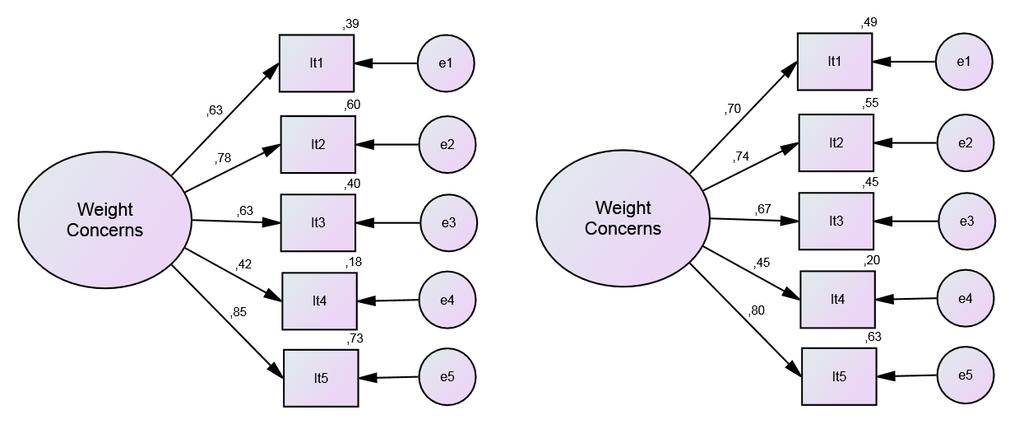 62 Paper-and-pencil Online Figure 1. Factor structure of the Portuguese version of the Weight Concerns Scale (WCS) applied to university students in paper-and-pencil ( ²/df = 1.614, CFI = 0.