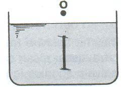 O eixo longitudinal do bastão é perpendicular à superfície da água e o olho O do observador encontra-se nas vizinhanças desse eixo. 18.