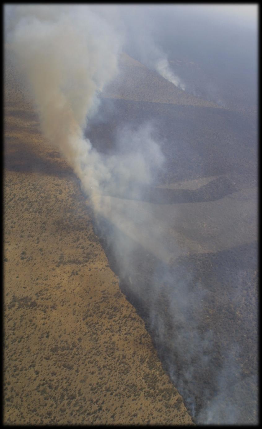 e incêndios florestais no Cerrado