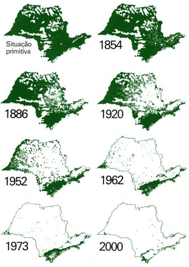 No Estado de São Paulo a área coberta por florestas nativas caiu de 85% em 1500 para 13% in 2000.