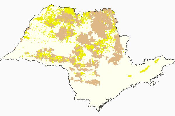 No Estado de São Paulo a área coberta por Cerrado era de 14% em 1500.