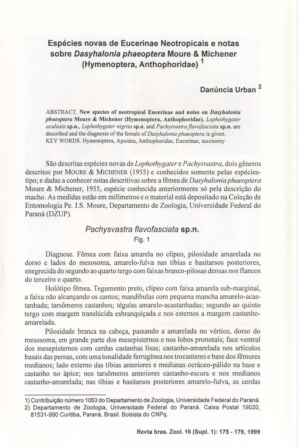 Espécies novas de Eucerinae Neotropicais e notas sobre Dasyhalonia phaeoptera Moure & Michener (Hymenoptera, Anthophoridae) 1 Danúncia Urban 2 ABSTRACT.