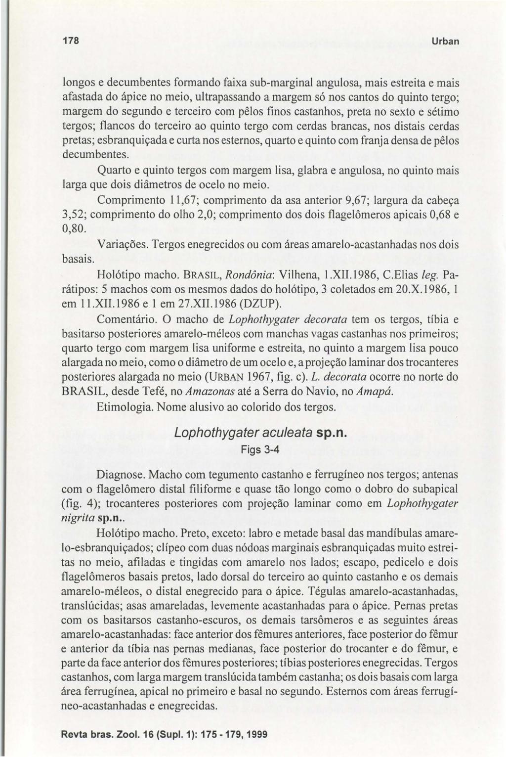 178 Urban longos e decumbentes formando faixa sub-marginal angulosa, mais estreita e mais afastada do ápice no meio, ultrapassando a margem só nos cantos do quinto tergo; margem do segundo e terceiro