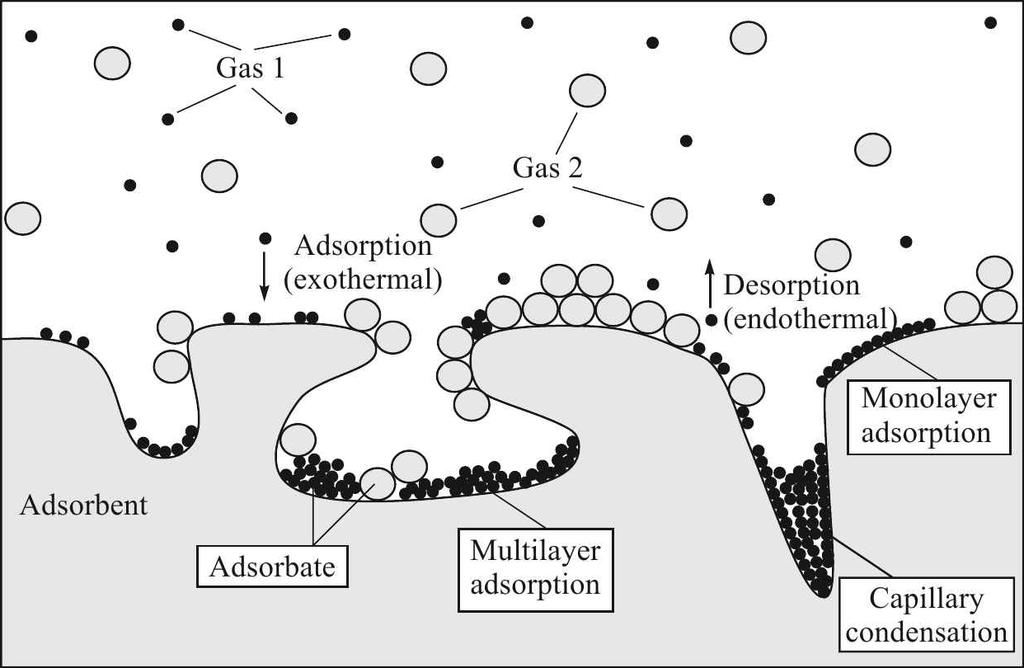 Equilíbrio de Adsorção Figura 5: Ilustração da adsorção em mono- e