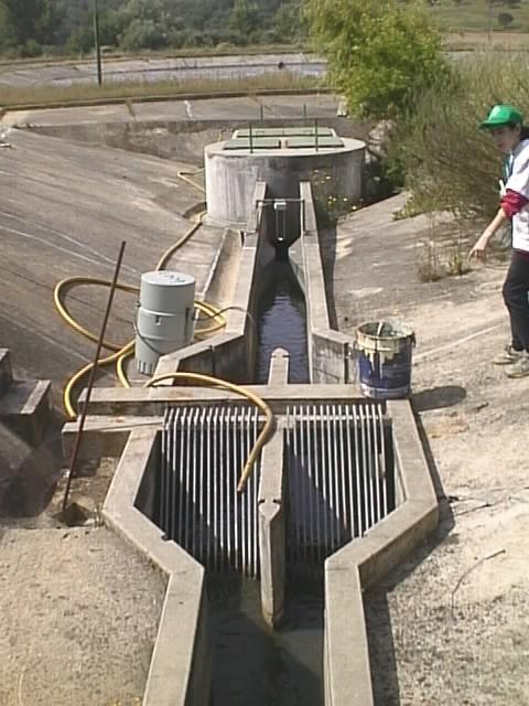 Visitámos também a ETAR da Zona Industrial de Tomar, que está preparada para receber águas residuais com uma carga orgânica menor, provenientes de várias indústrias, pelo que apresenta um sistema de