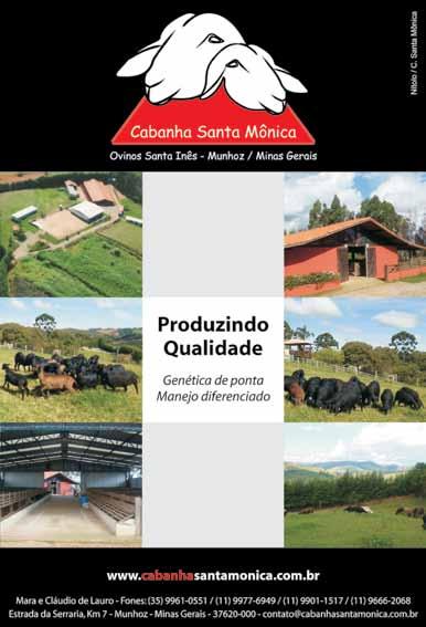 Cozinhar a mandioca e a mandioquinha até amolecer, depois bater em liquidificador adicionando o leite, o creme de