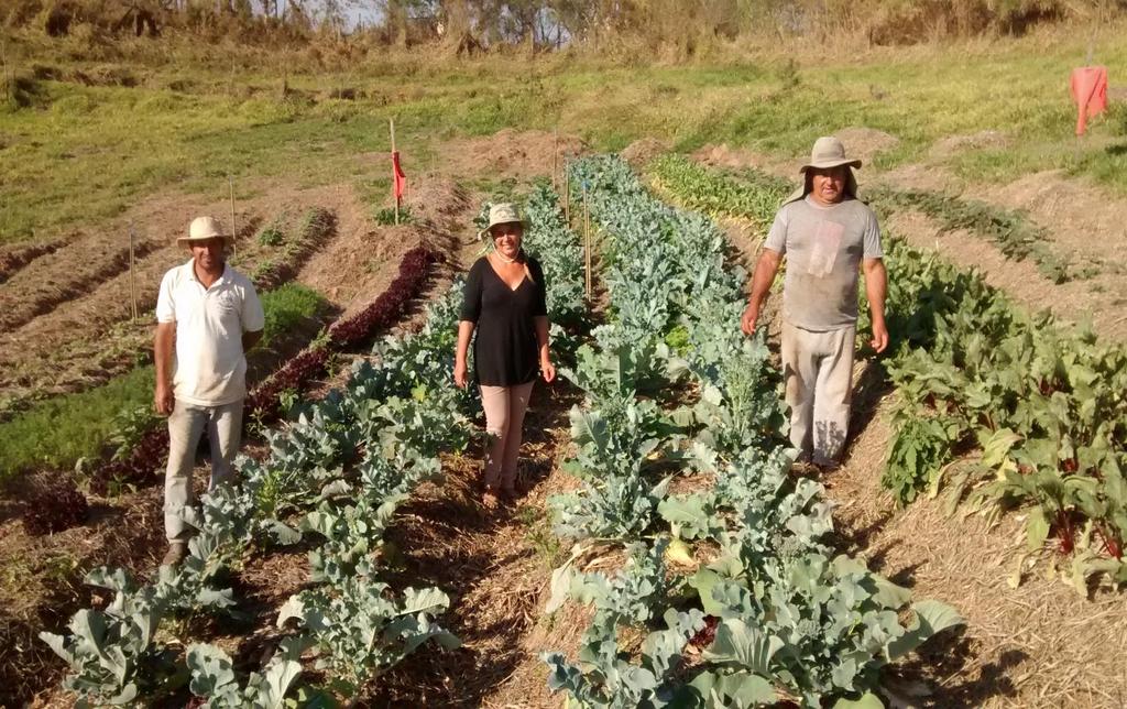 AGRIGULTURA FAMILIAR A Agricultura Familiar é responsável por 70% dos alimentos hortifrutigranjeiros que compõem a mesa dos brasileiros. Trabalham na horta o Ico e a Dina.