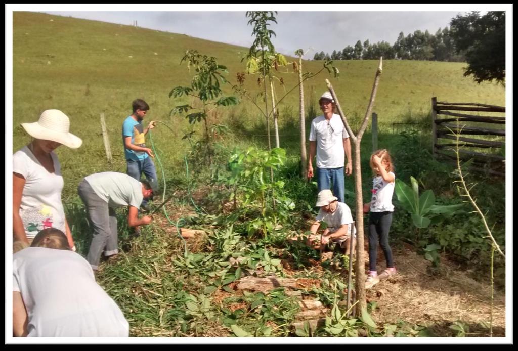 Transparência, gestão participativa e preço justo: Os agricultores e associados participam ativamente do planejamento da atividade (administrativo, financeiro, de produção e logística), com o