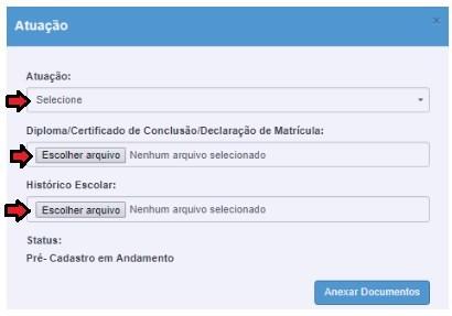 Após inserir os dados pessoais, poderá inserir a atuação do docente, podendo ser mais de uma desde que