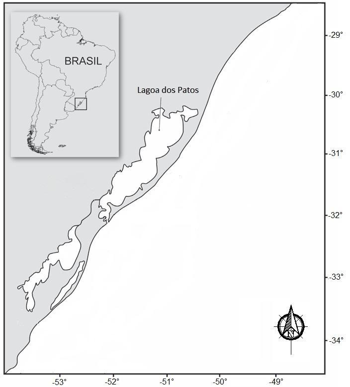 112 TROCA e VIEIRA Figura 1. Área de estudo com localização da Lagoa dos Patos na região costeira do sul do Brasil.