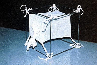 Figura 4 Gaiola em tecido náilon (e armação metálica) usada para o transporte de flebotomíneos ao laboratório.