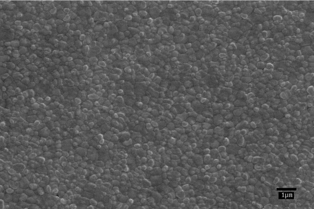 R. R. Menezes et al. / Cerâmica 53 (2007) 218-226 221 1 mm Figura 2: Micrografia da amostra de zircônia Z 1,8kW 20min, sinterizada em forno de microondas. [Figure 2: SEM micrograph of the Z 1.