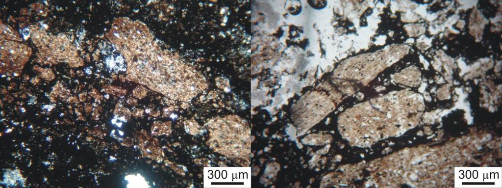 microcristalina, agregados diagenéticos de hematita (material preto), grãos detríticos de quartzo, feldspato e massa representada basicamente por illita orientada (Nível II).