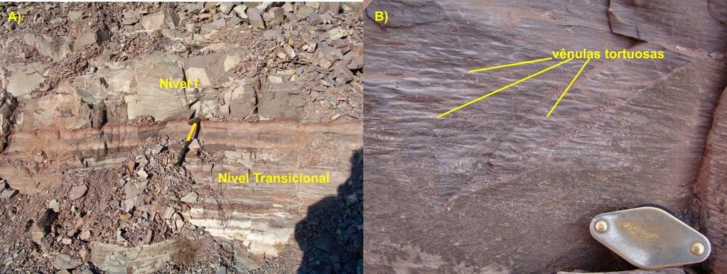 decimétricas areno-argilosas, intercaladas em material síltico argiloso. O conjunto litológico que constitui este nível pode ser correlacionado à Formação Serra Alta.