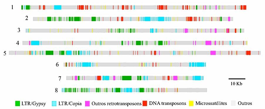 70 reinserção da sua cópia na mesma região, ou em região próxima da origem é baixa (Civán et al., 2011). Figura 17.