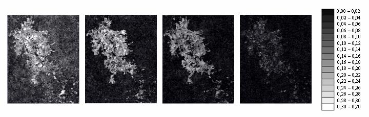 Fig. 3 Imagens amplitude dos quatro primeiros harmônicos de uma área predominantemente agrícola.