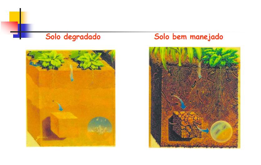 O solo é, possivelmente um dos recursos naturais mais instáveis, quando desprotegido.