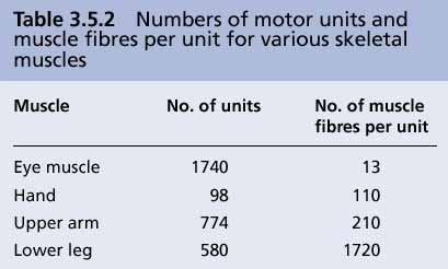 UNIDADES MOTORAS: DENSIDADE DE INERVAÇãO E CLASSIFICAÇÃO Razão de