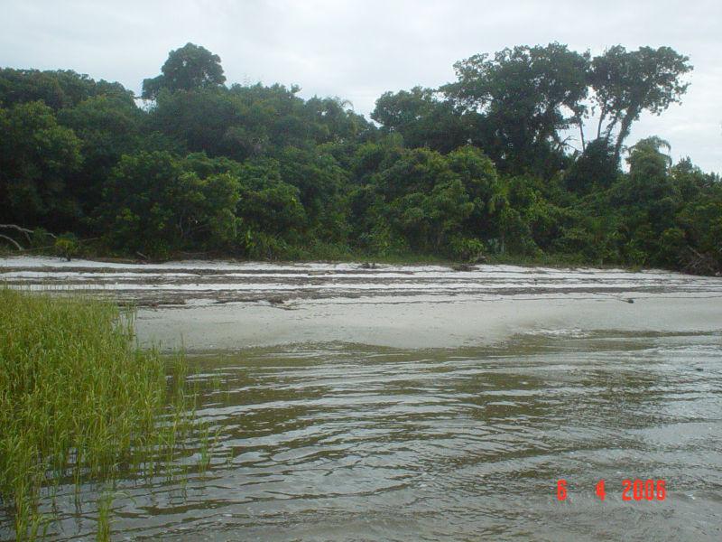 FIGURA 1: FOTOS DA PRAIA DE EUROPINHA, SETOR MESOHALINO DA BAÍA DE PARANAGUÁ.