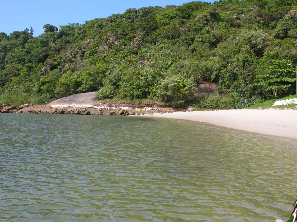 Ilha das Cobras (25 29 03,1 S; 48 25 50,6 W): Esta praia localiza-se na região euhalina da baía de Paranaguá (Figura 3 e 7).