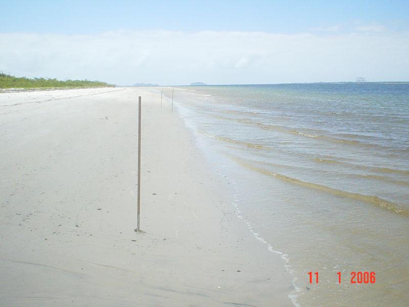 Brasília (25 31 36,4 S; 48 20 35,7 W): Também encontra-se localizada na Ilha do Mel, região euhalina da baía de Paranaguá (Figura 5 e 7).