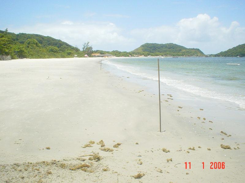 FIGURA 9: FOTO DOS ARRASTOS E DO ESPAÇAMENTO ENTRE ARRASTOS CONSECUTIVOS NOS PONTOS AMOSTRAIS. 5 m 20 m 3.3. ANÁLISE DOS DADOS 3.3.1.