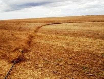 Semeadura a lanço Fonte: