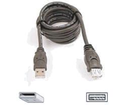 Conexões Opcional: Conexão com dispositivos USB suportados Cabo de extensão USB (acessório opcional - não fornecido) Português Uso da porta USB Só é possível exibir o conteúdo dos dispositivos USB