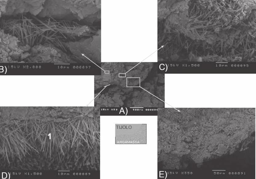 Figura 5 Fotomicrografias do perfil do bloco cerâmico aderido à argamassa tipo 1-1:0:6. IER.