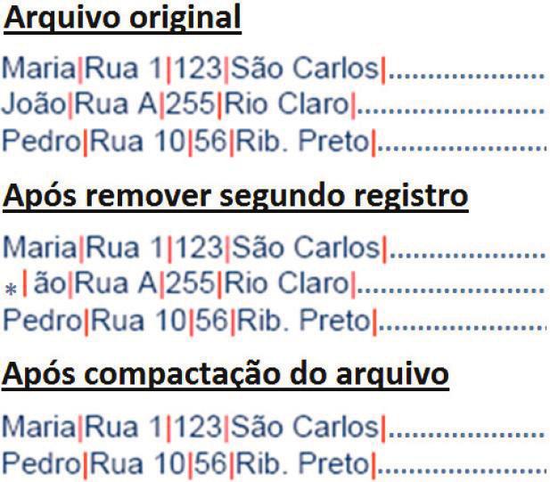 P. ex., atualizar um registro que aumente de tamanho: O que fazer com os dados adicionais? Anexar ao final do arquivo e ligar as duas partes por ponteiros? Processamento de cada registro (logo do arq.