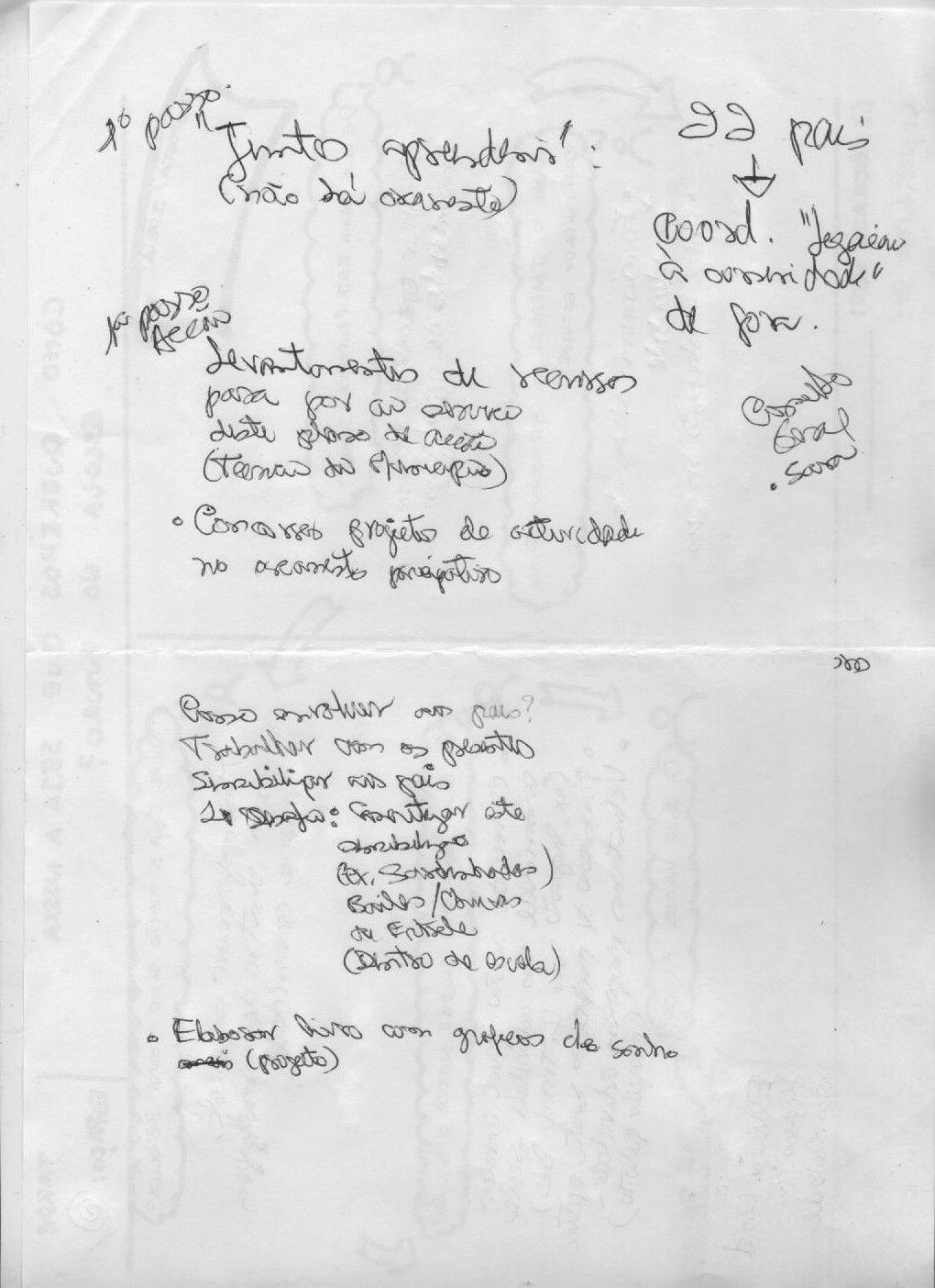 Próximos passos : Formação de professores (corpo na sala de aula). Eleição de coordenador/a que faça a ligação à comunidade. Levantamento de recursos para pôr ao serviço deste plano de acção.