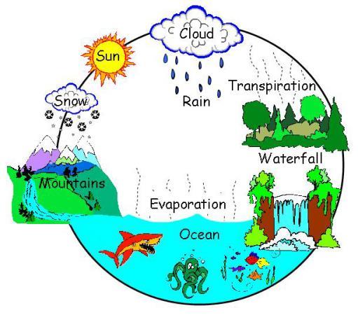 4 - Evaporação e